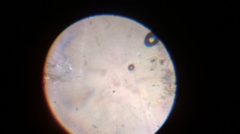 WP_20131218_005.jpg