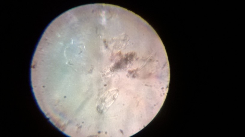 WP_20131218_009.jpg