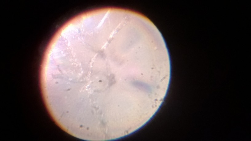 WP_20131218_012.jpg