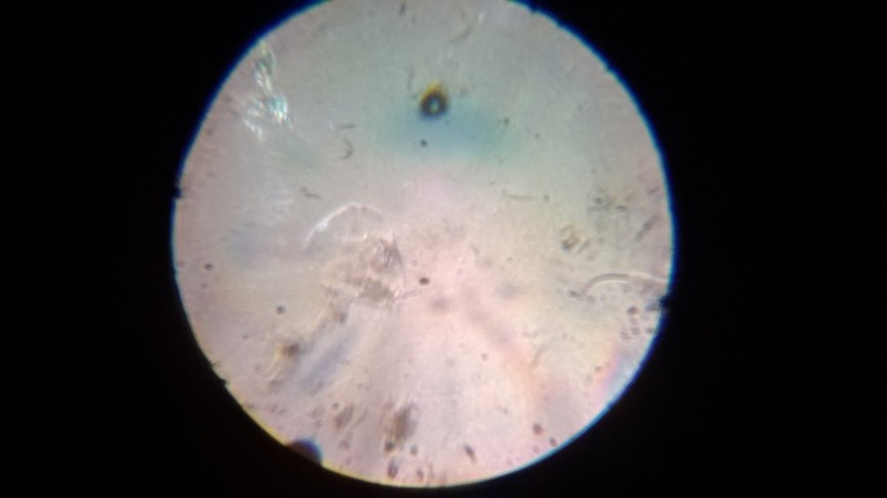 WP_20131218_011.jpg