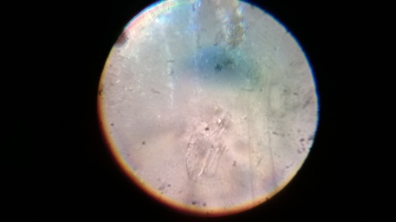 WP_20131218_006.jpg