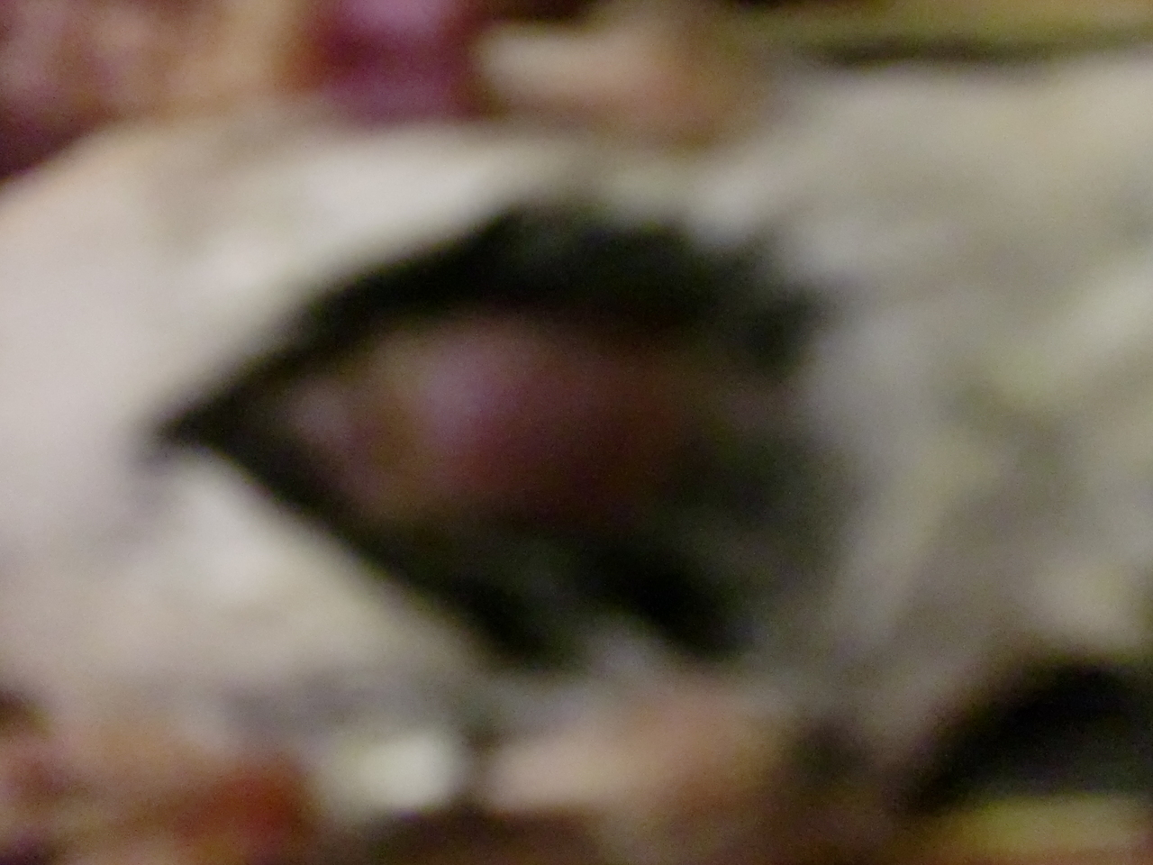CIMG0539.JPG