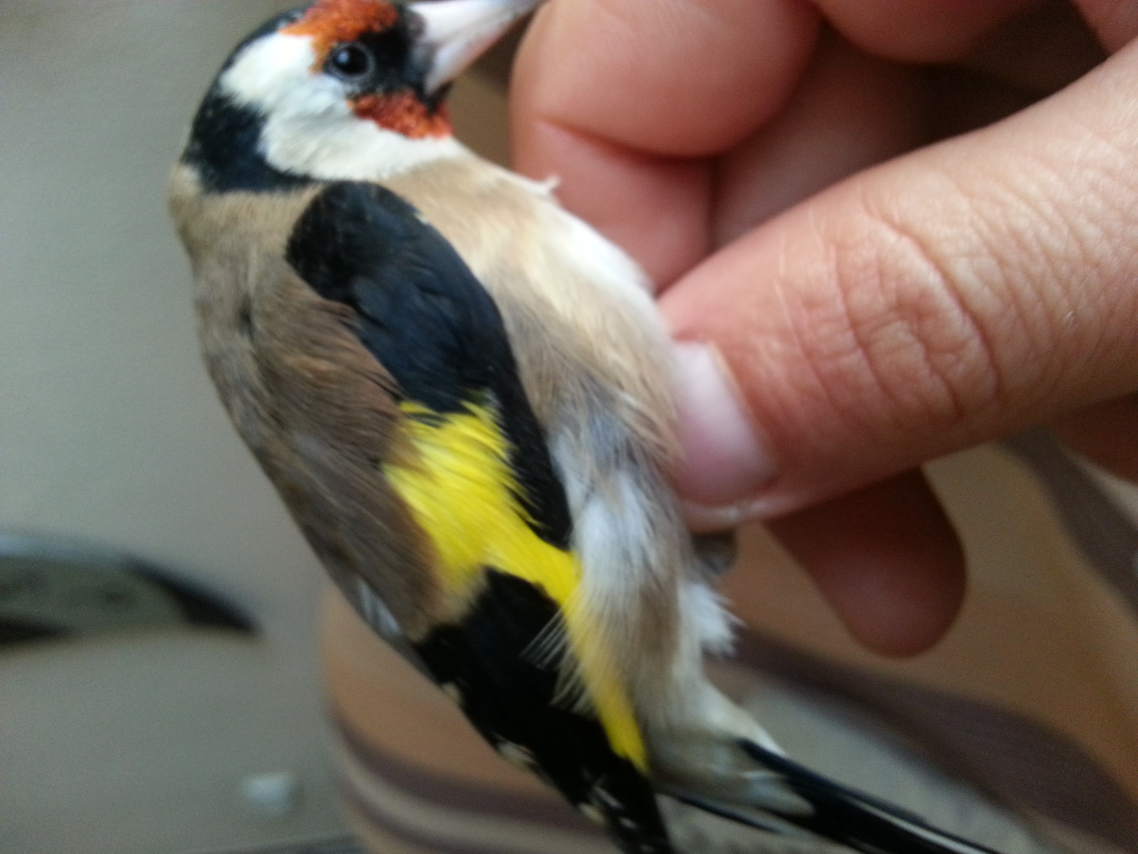 20131226_151031.jpg