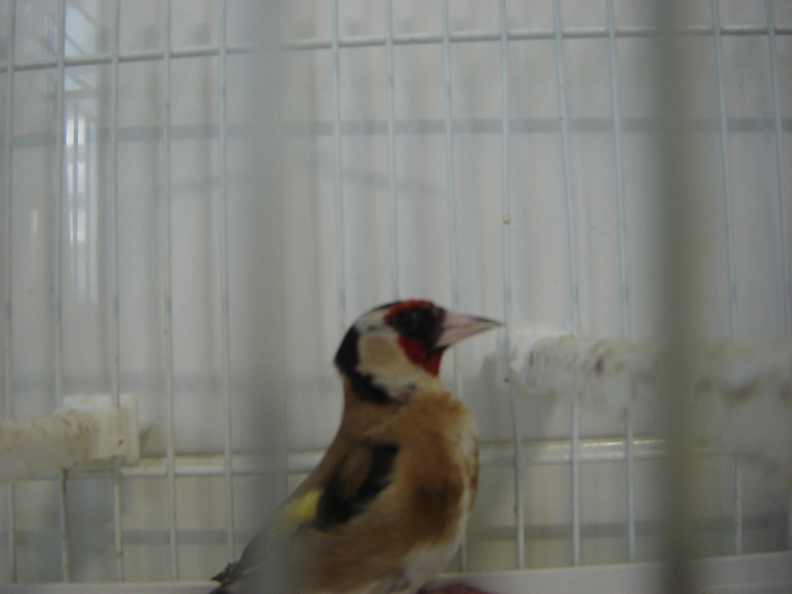 DSC03393.JPG