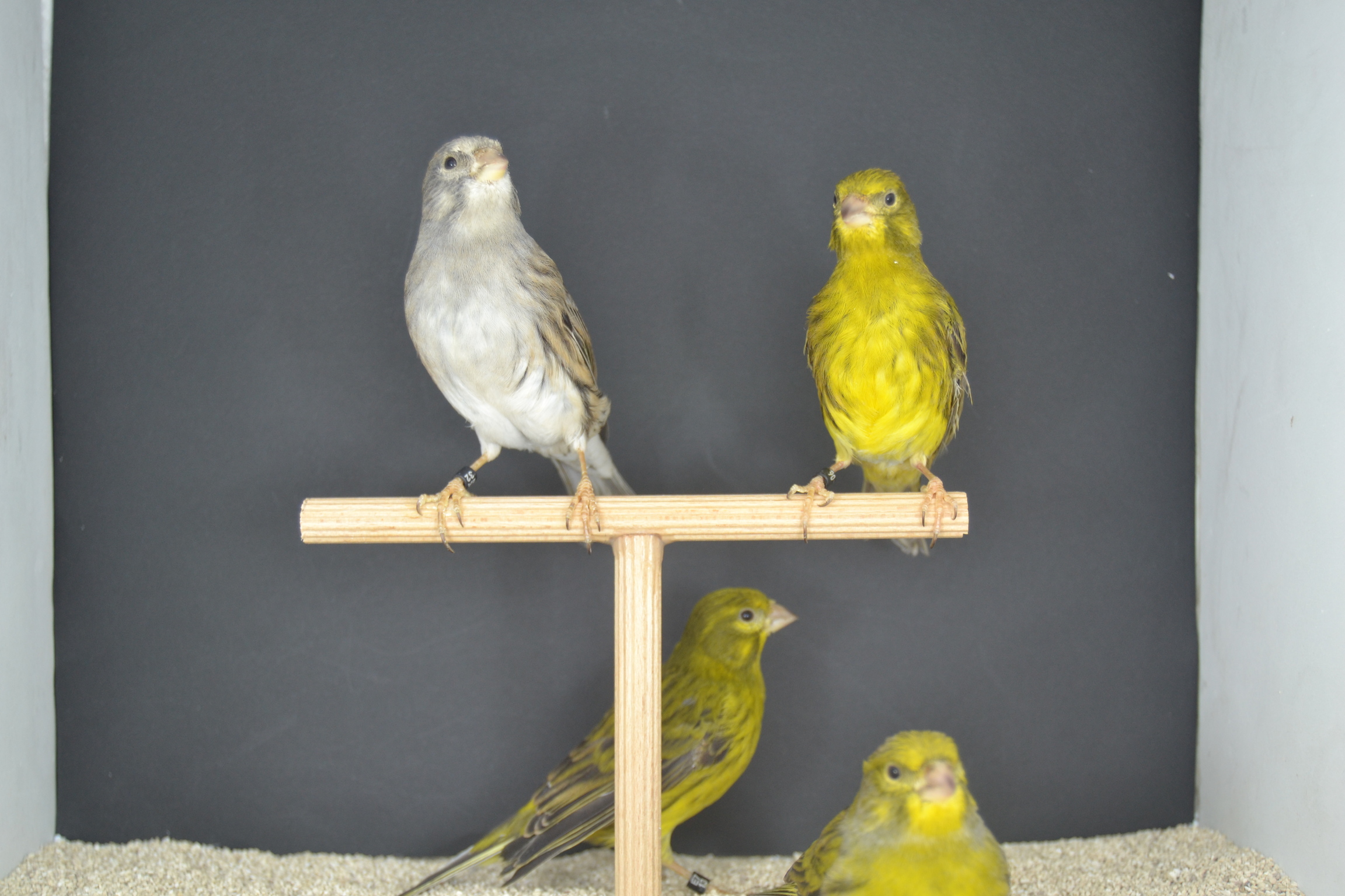 DSC_0583.JPG