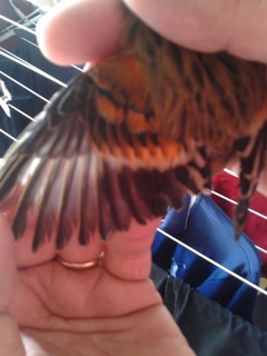 2014-01-03 14.21.59.jpg