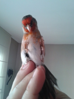 2014-01-03 14.21.49.jpg