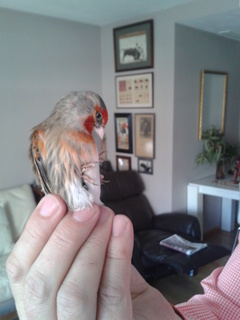 2014-01-03 14.21.28.jpg