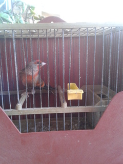 2014-01-03 14.16.55.jpg