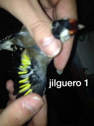 image.jpg
