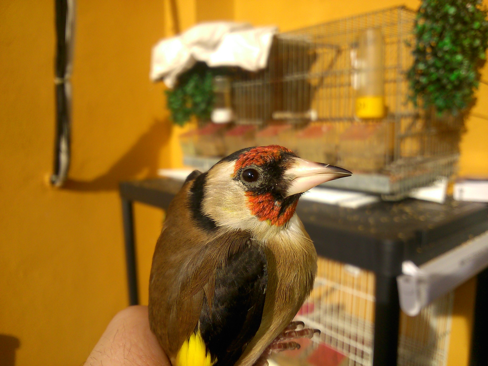 DSC_0141.jpg