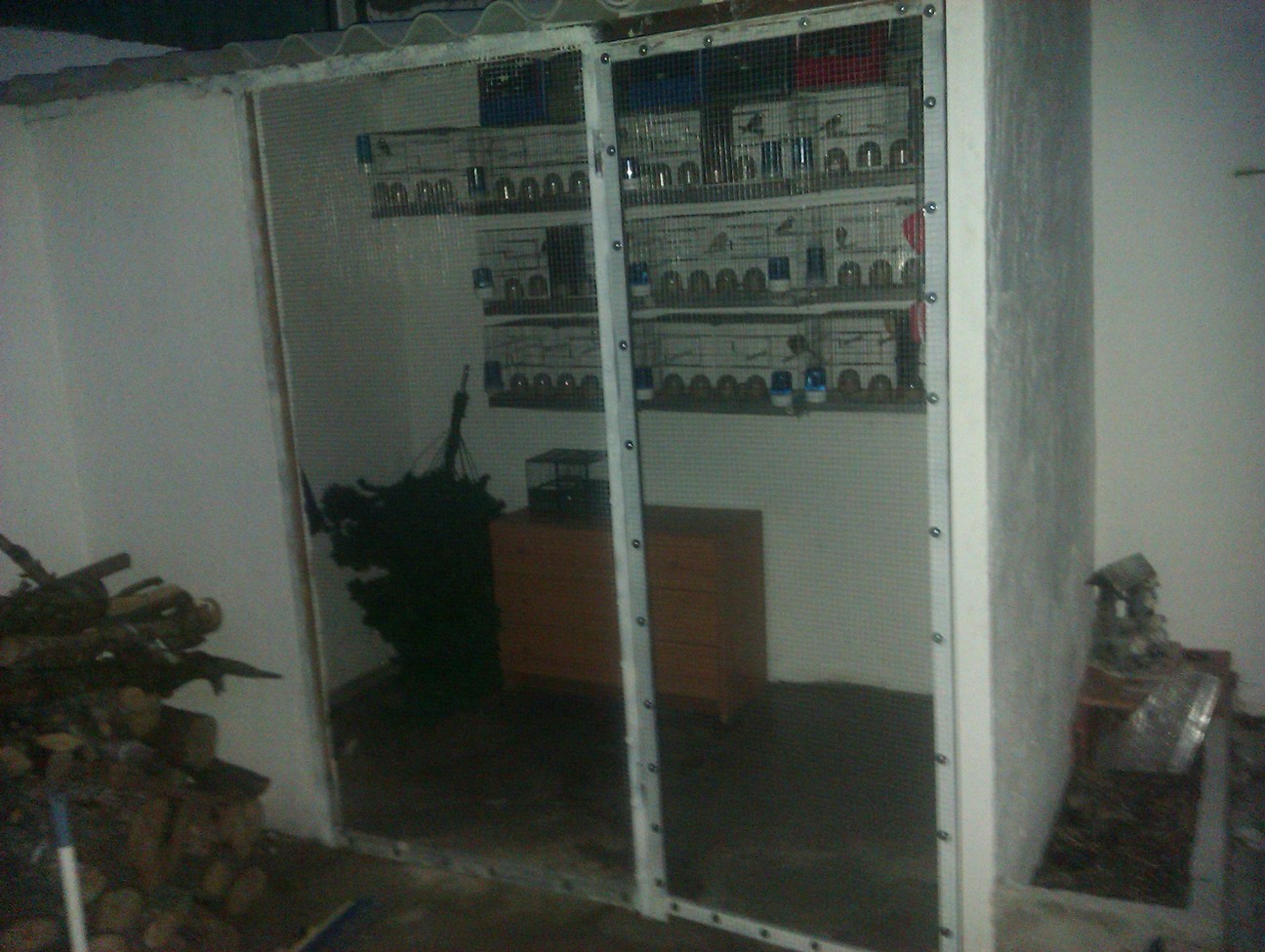 IMAG0497.jpg