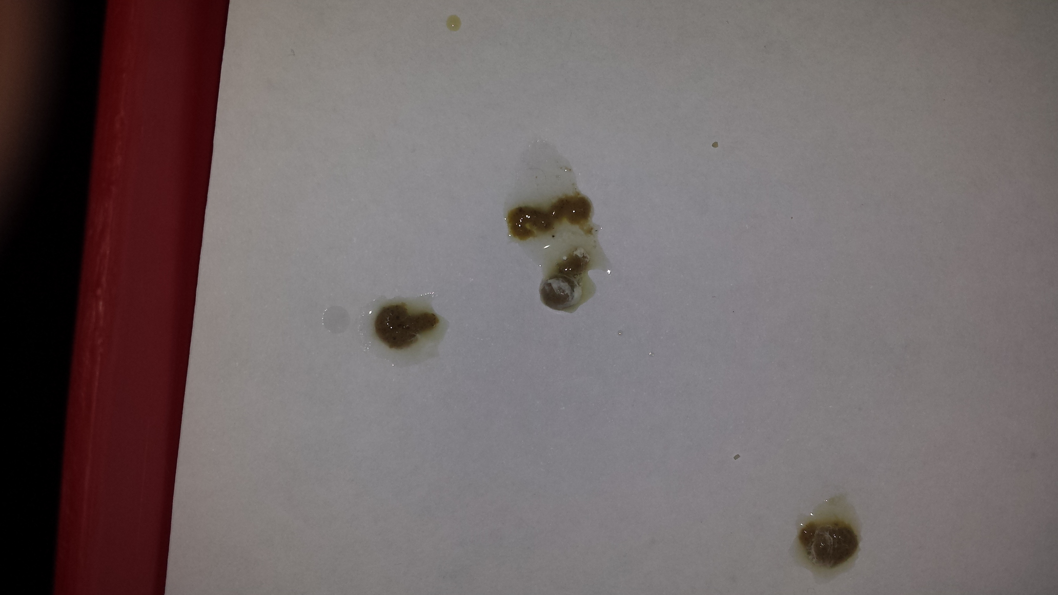 20140110_131244.jpg