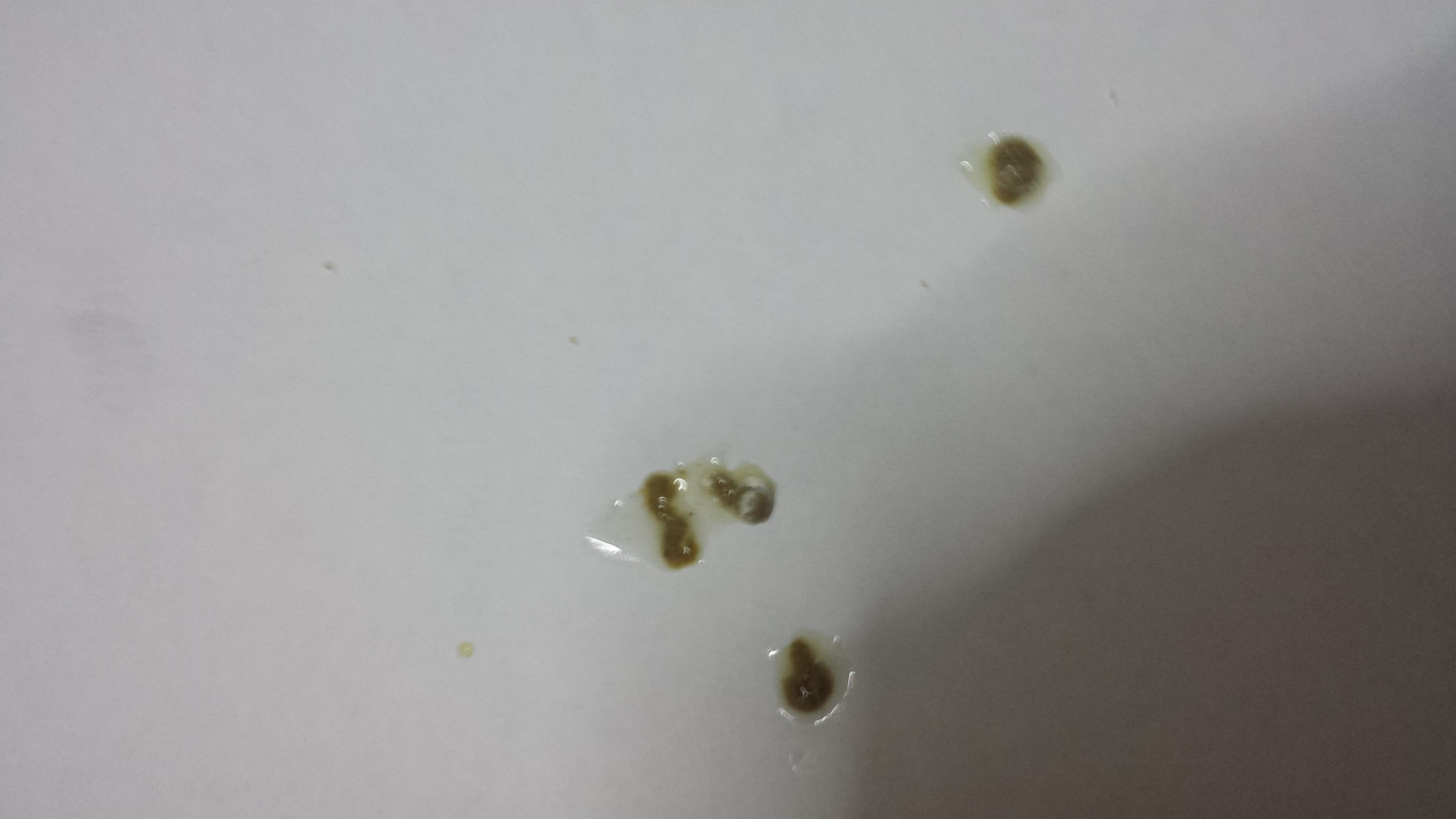 20140110_131332.jpg