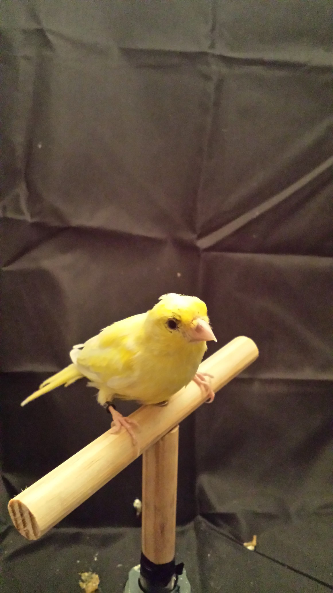 20140109_173415.jpg
