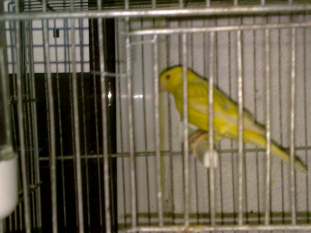 09092010221.jpg