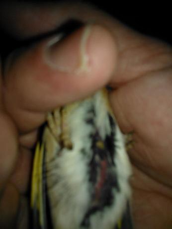IMG-20140116-WA0010.jpg