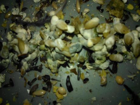 IMG-20140116-WA0013.jpg