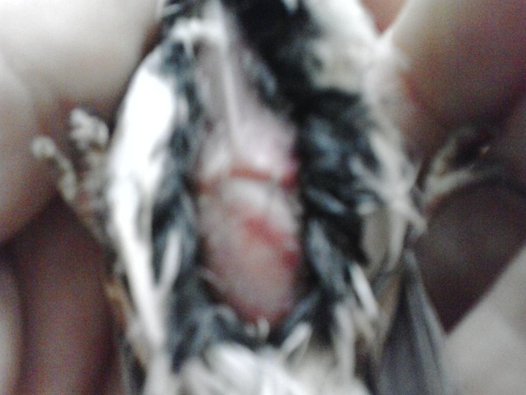 2014-01-17 16.01.09.jpg