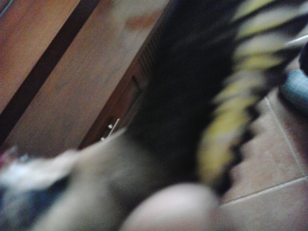 2014-01-17 16.09.46.jpg