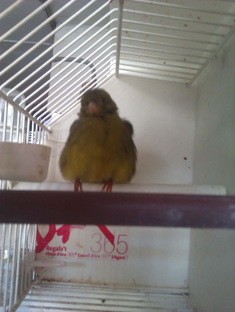 IMAG0556.jpg