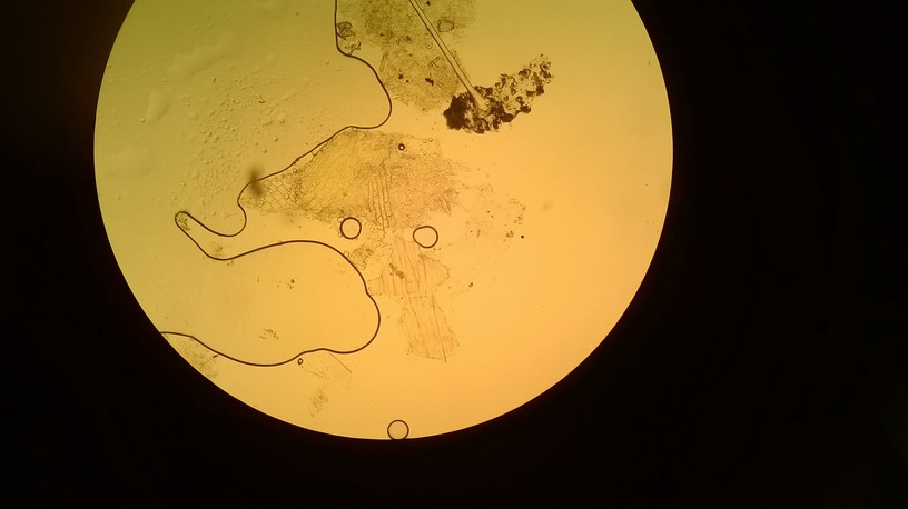 WP_20140118_015.jpg