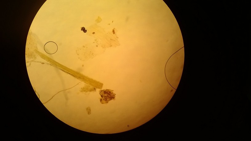 WP_20140118_019.jpg