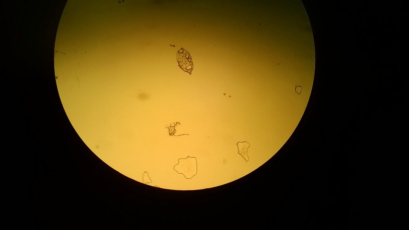 WP_20140121_005.jpg
