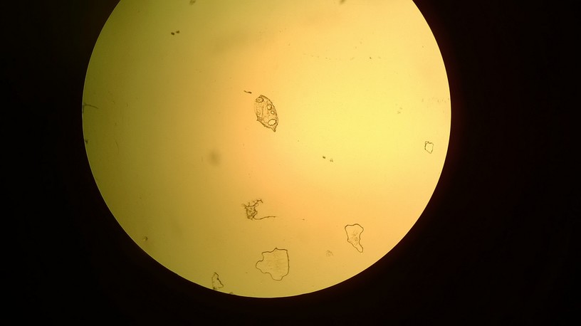 WP_20140121_006.jpg