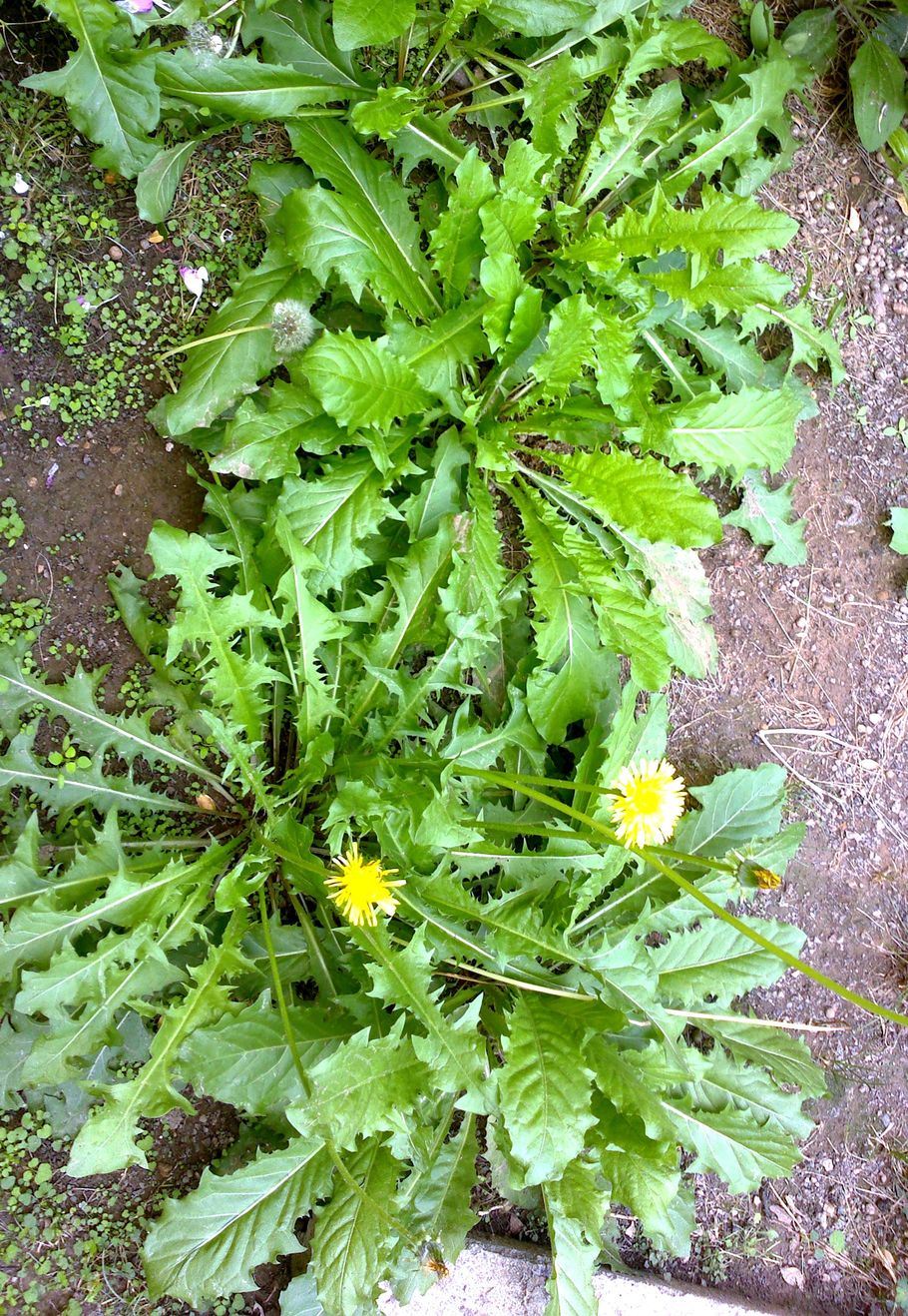 130820131537.jpg