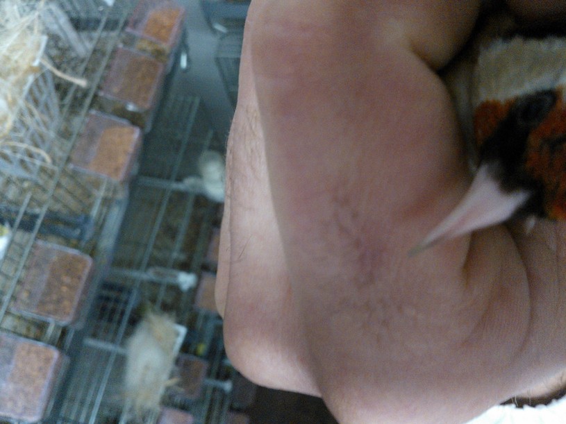 WP_002340.jpg