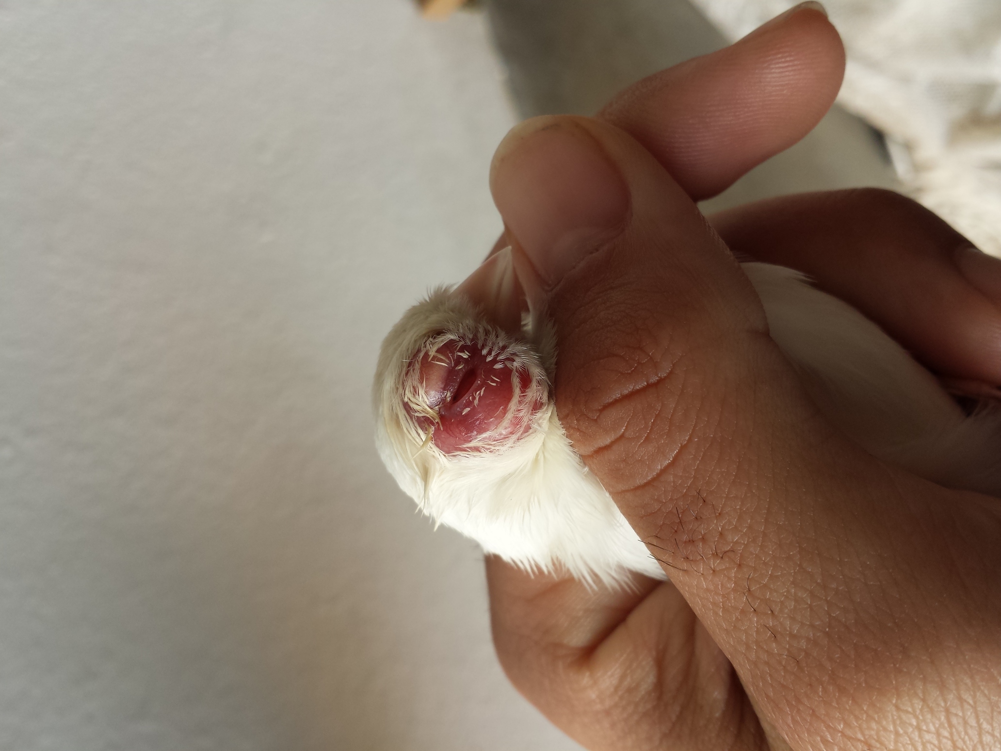 20140126_131323.jpg