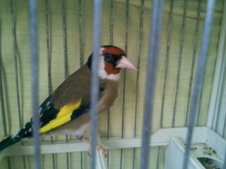 120109-1435.jpg