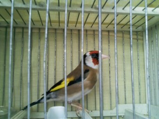 130109-1503.jpg