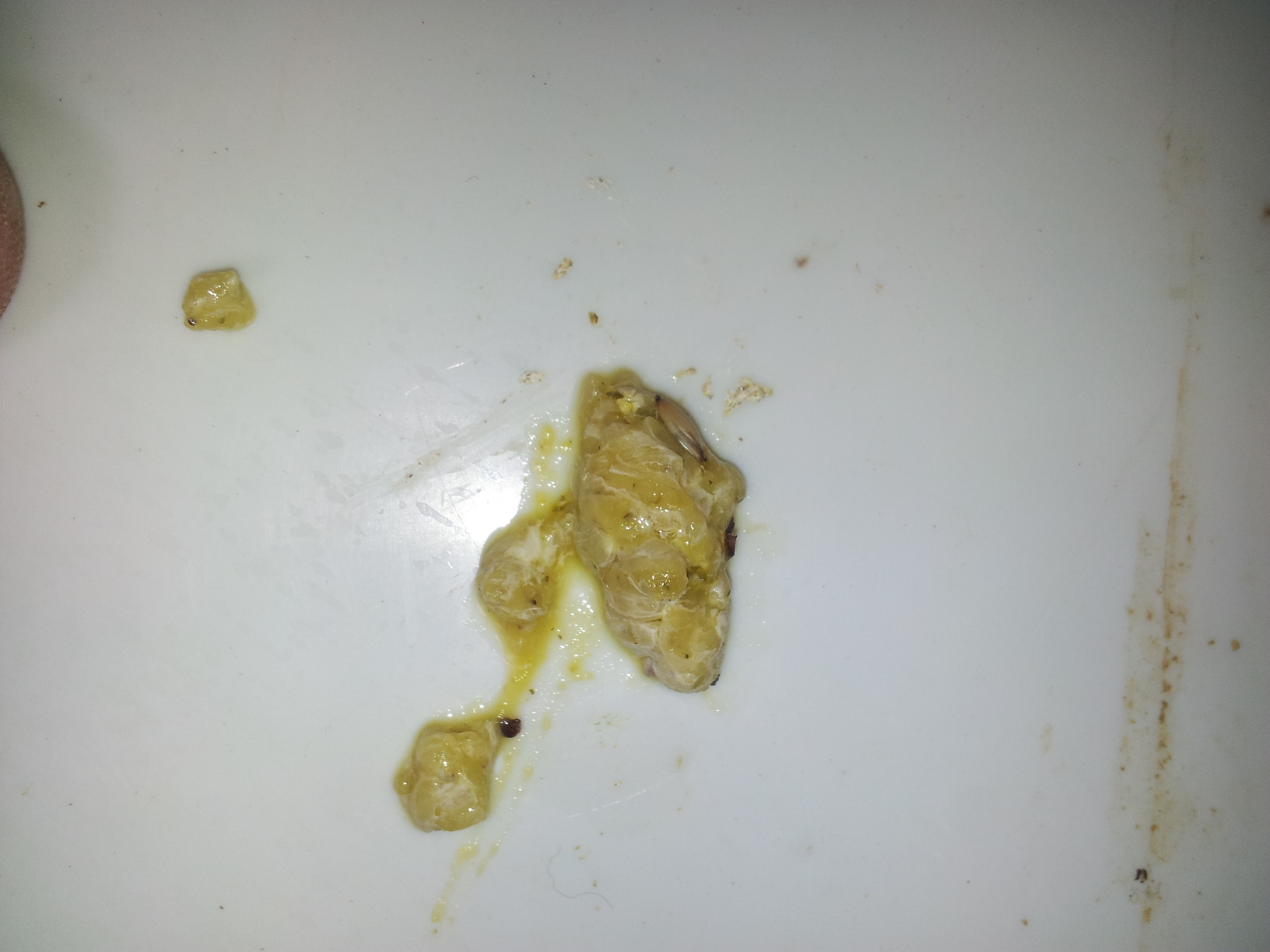 20140127_133705.jpg