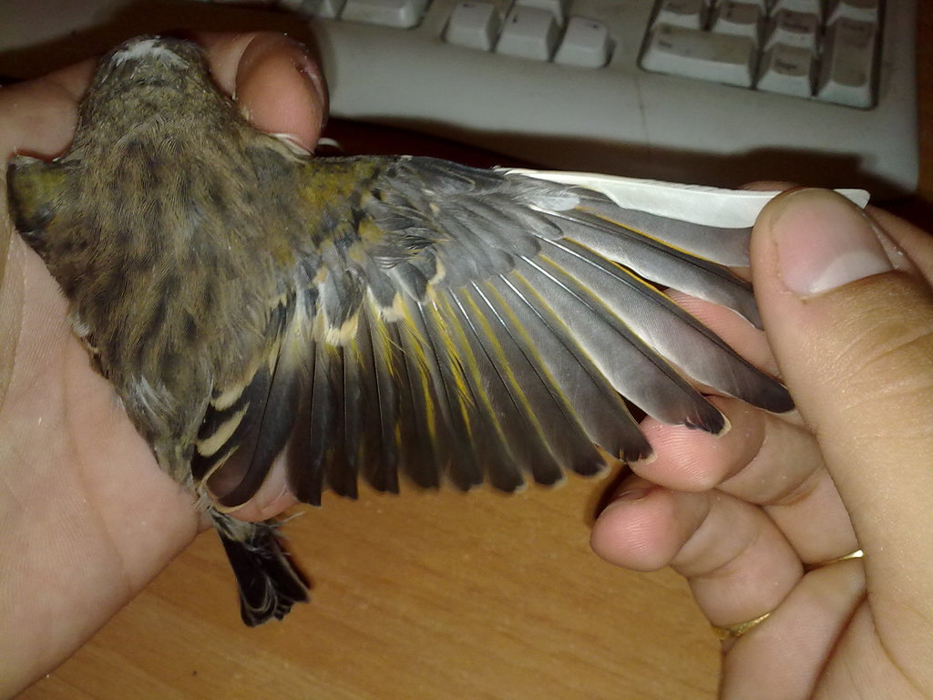 09092010507.jpg