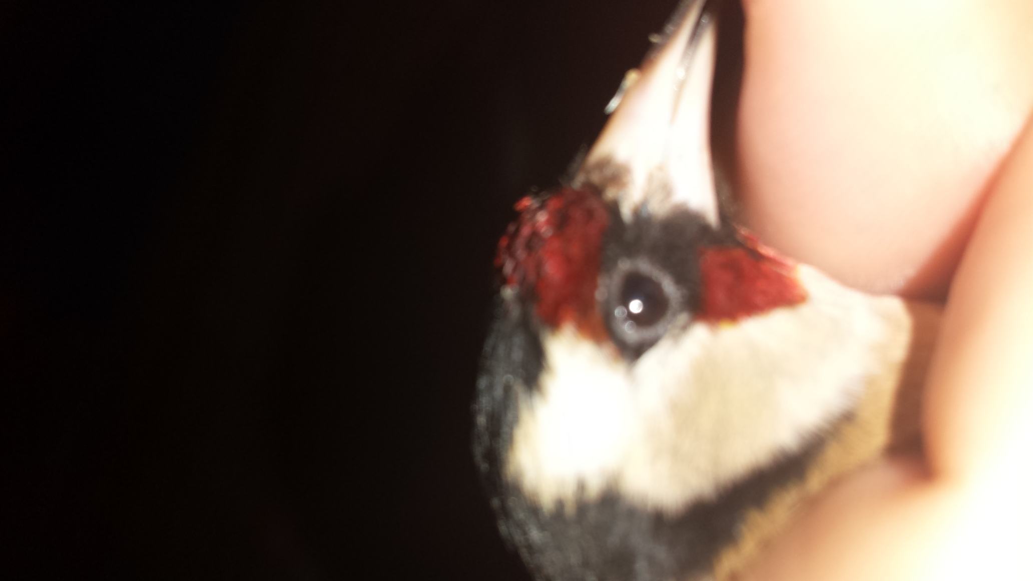 20140116_205315.jpg
