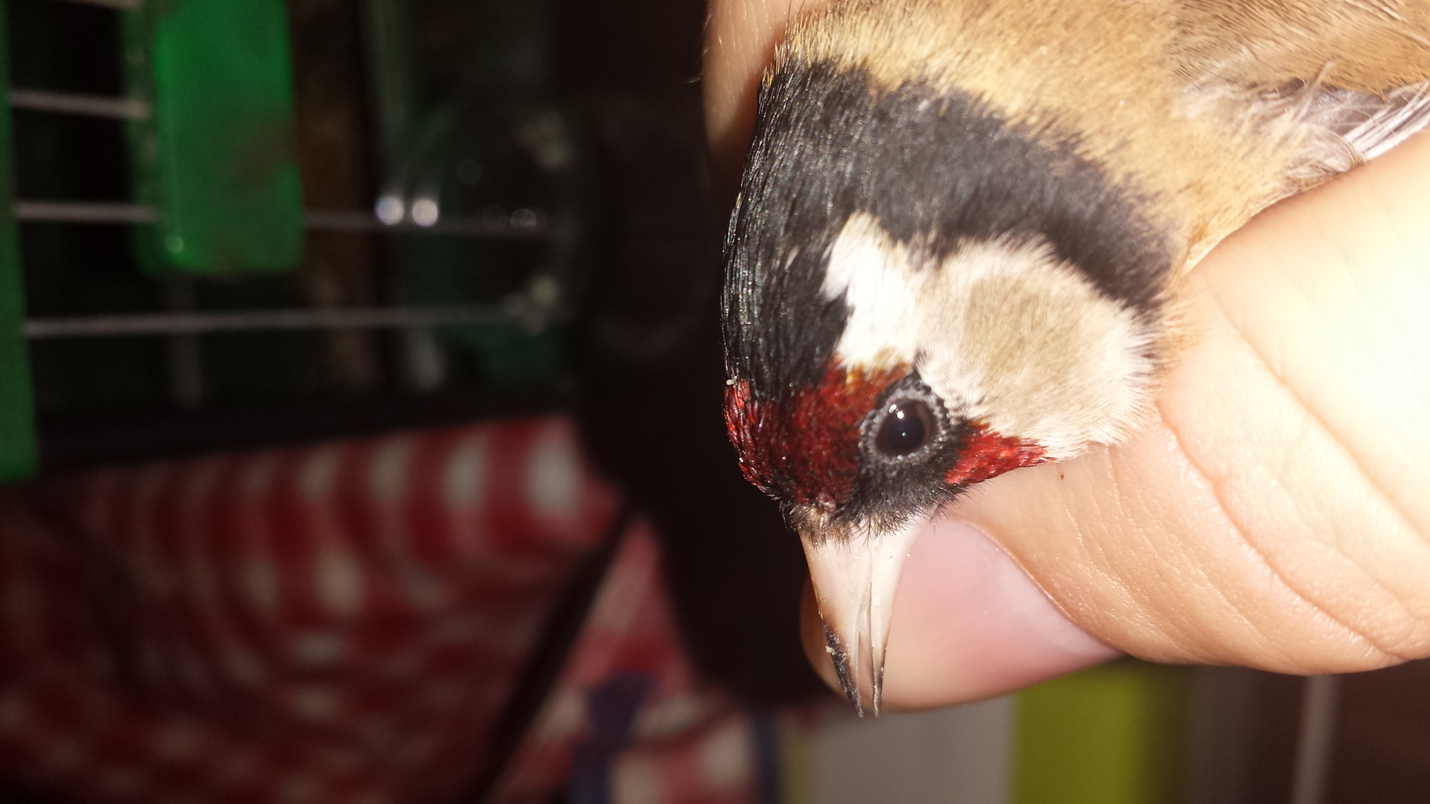 20140116_205307.jpg