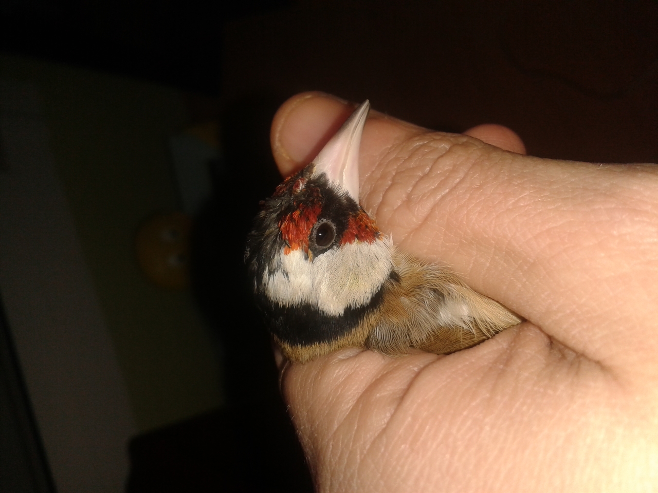 20140129_155538.jpg