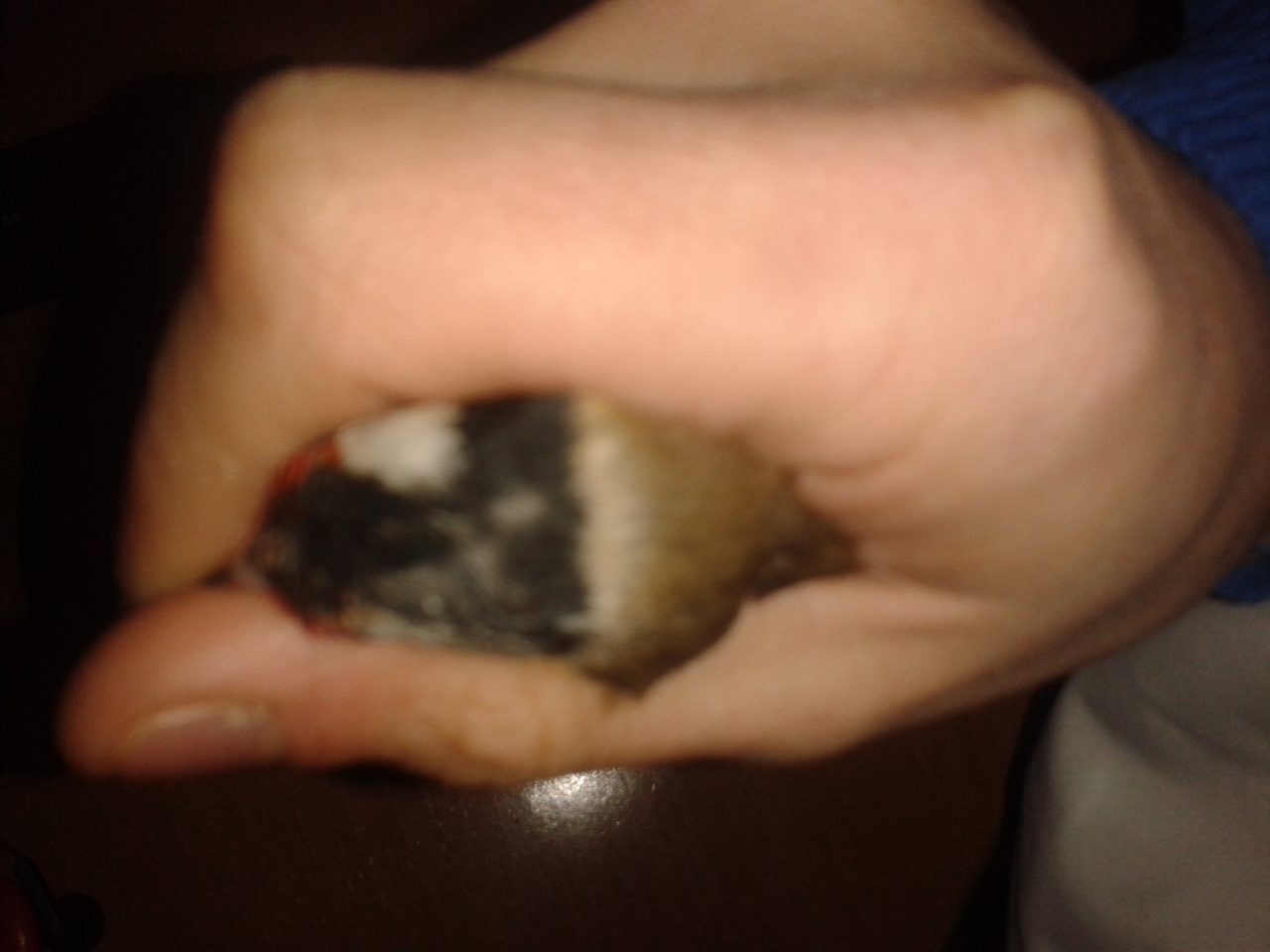 20140129_155408.jpg