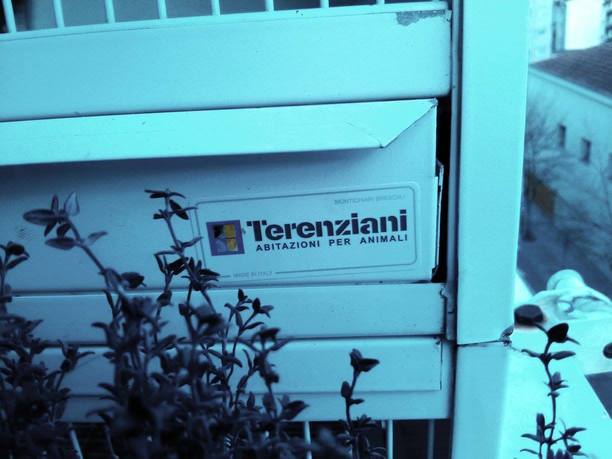 terenziani4.jpg