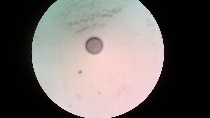 WP_20140130_021.jpg