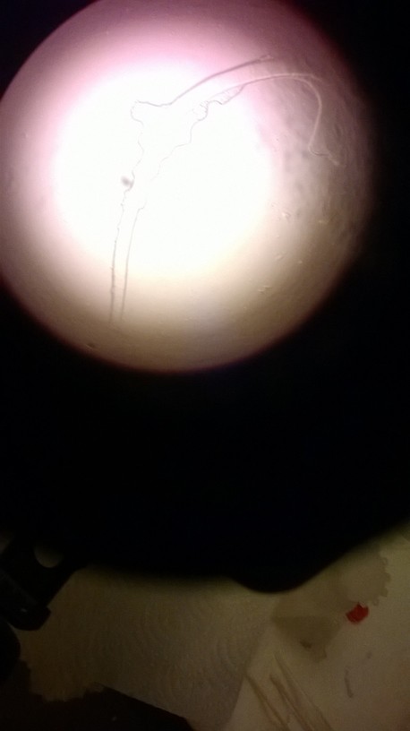 WP_20140130_026.jpg