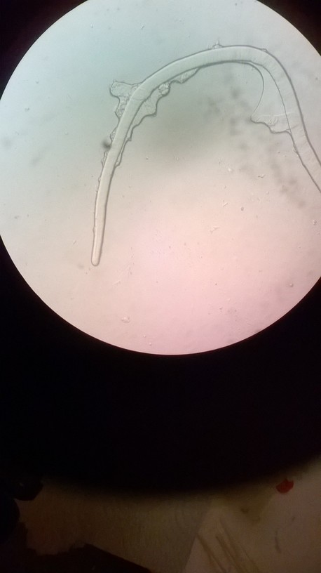 WP_20140130_027.jpg