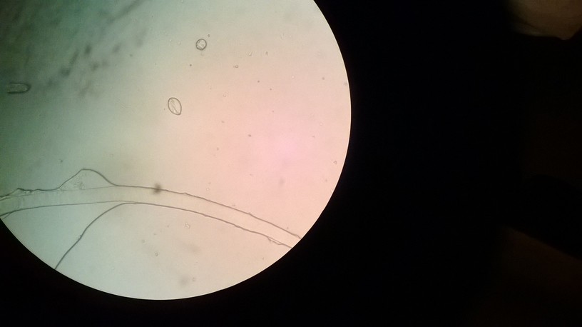 WP_20140130_030.jpg