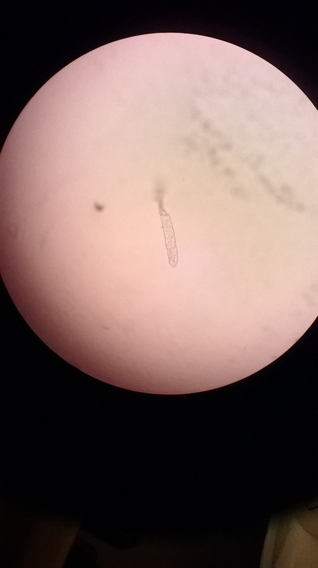 WP_20140130_032.jpg