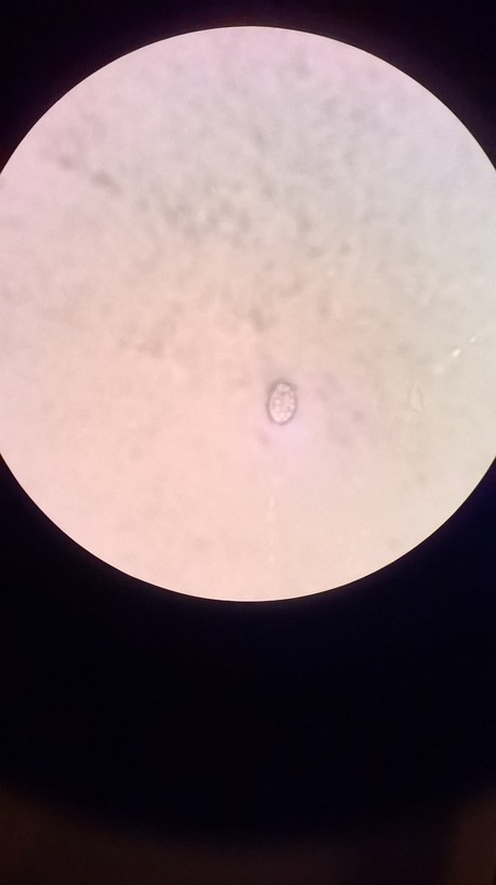 WP_20140130_035.jpg