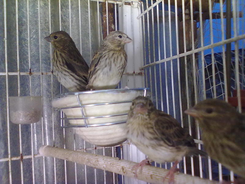 02042011352.jpg