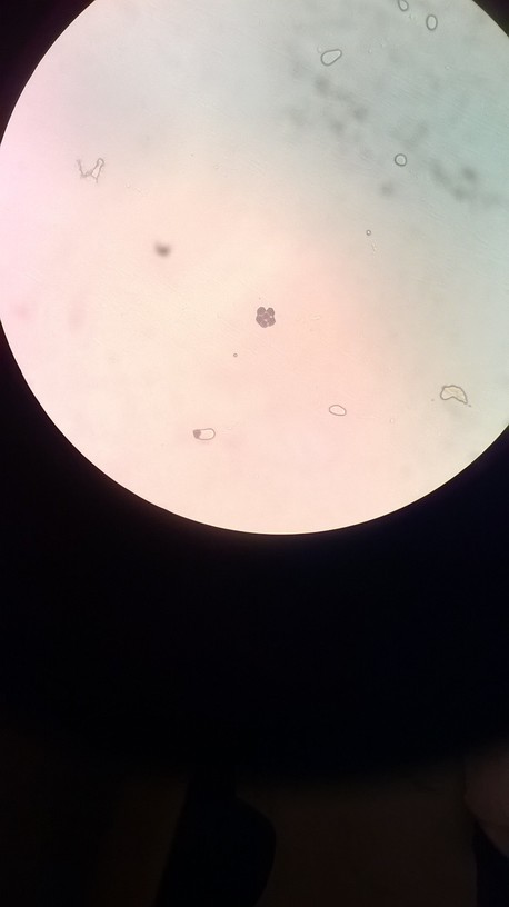 WP_20140130_040.jpg