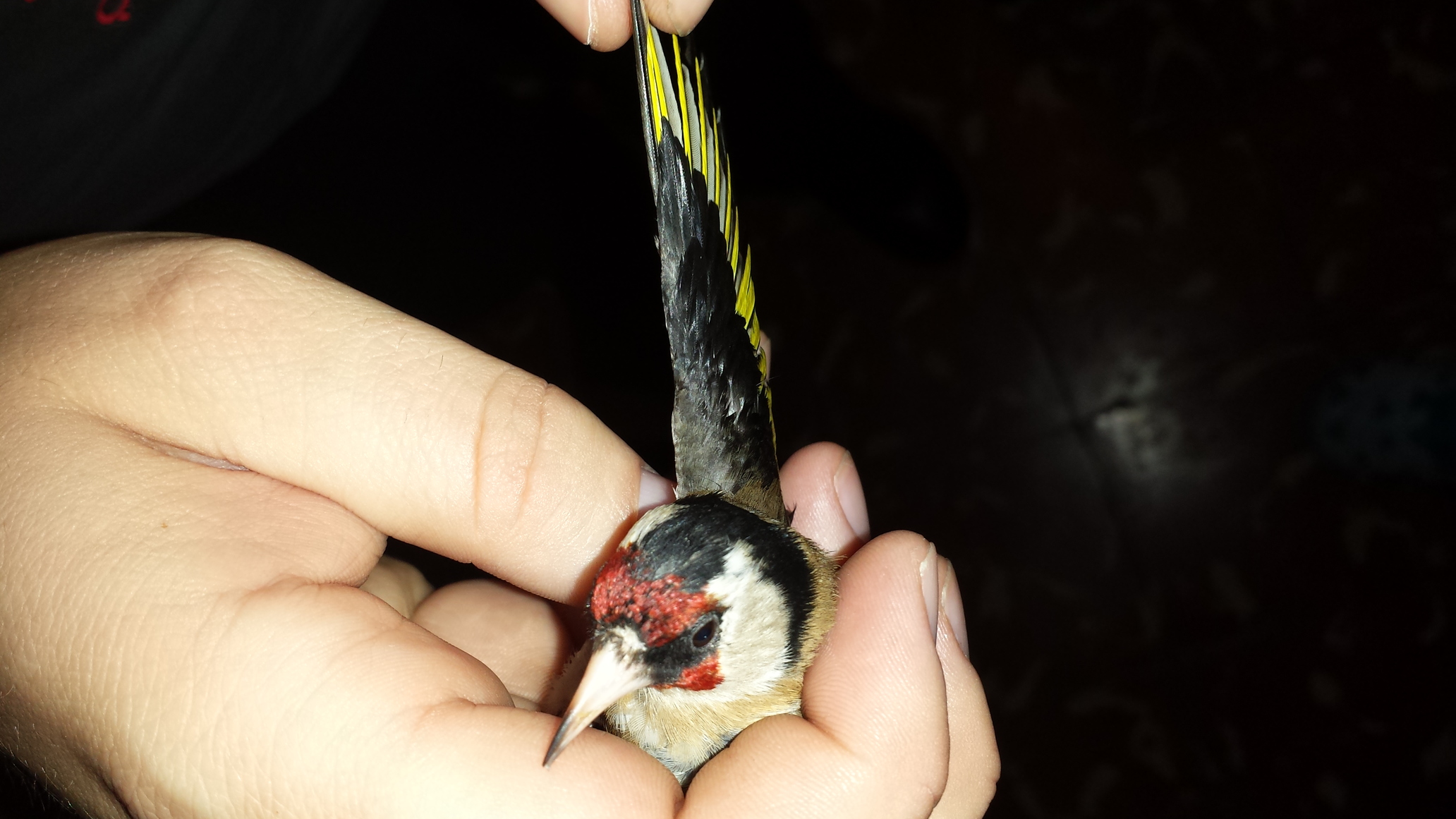 20140130_220904.jpg
